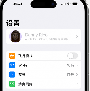 彭泽appleID维修服务iPhone设置中Apple ID显示为灰色无法使用