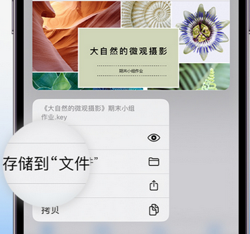 彭泽apple维修中心分享iPhone文件应用中存储和找到下载文件