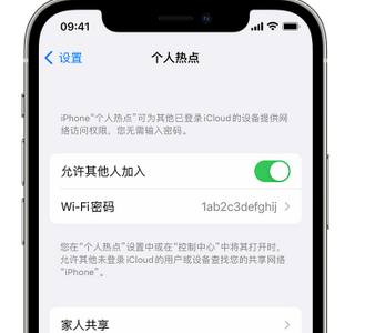 彭泽apple服务站点分享iPhone上个人热点丢失了怎么办 