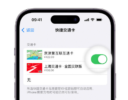 彭泽apple维修点分享iPhone上更换Apple Pay快捷交通卡手绘卡面 