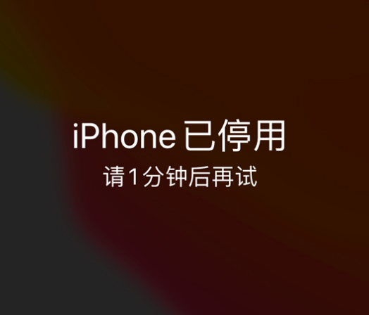 彭泽苹果手机维修分享:iPhone 显示“不可用”或“已停用”怎么办？还能保留数据吗？ 