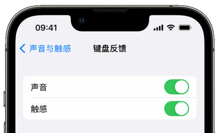 彭泽苹果手机维修分享iPhone 14触感键盘使用方法 