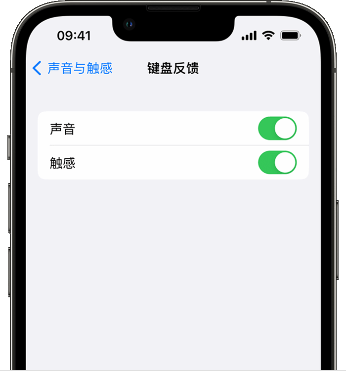 彭泽苹果14维修店分享如何在 iPhone 14 机型中使用触感键盘 