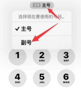 彭泽苹果14维修店分享iPhone 14 Pro Max使用副卡打电话的方法 