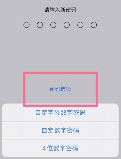 彭泽苹果14维修分享iPhone 14plus设置密码的方法 