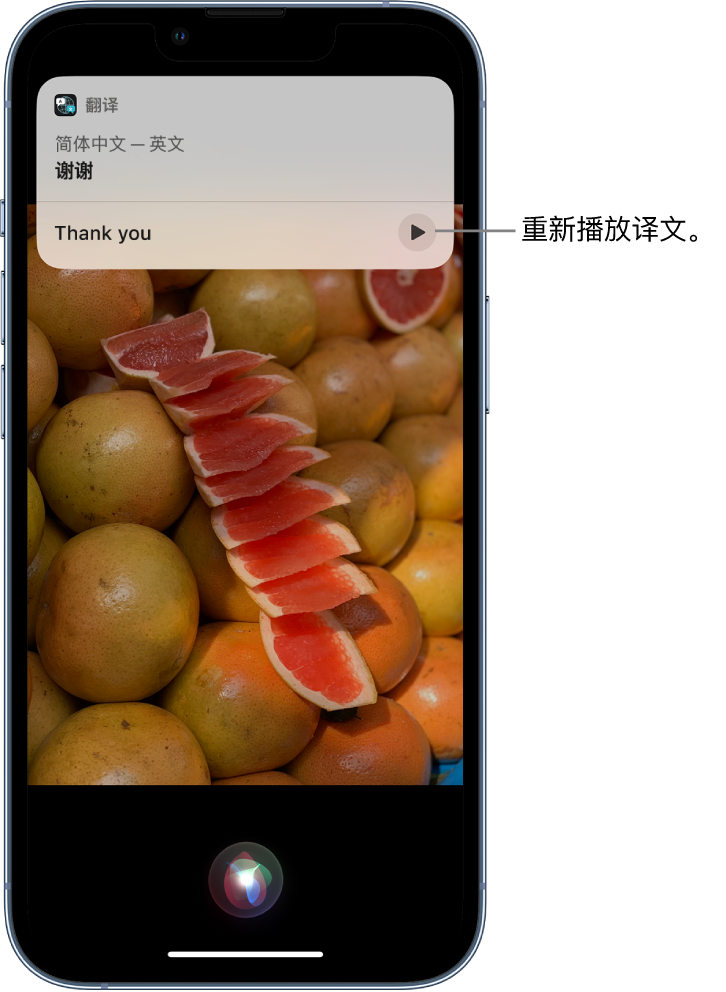 彭泽苹果14维修分享 iPhone 14 机型中使用 Siri：了解 Siri 能帮你做什么 