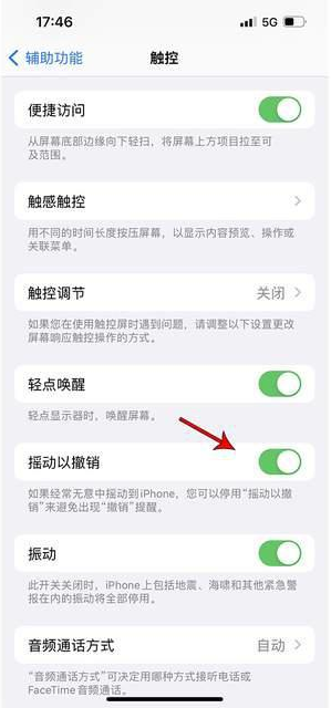 彭泽苹果手机维修分享iPhone手机如何设置摇一摇删除文字 